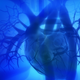 Illustration for article titled Scientists build a biological pacemaker by injecting a modified virus into the heart